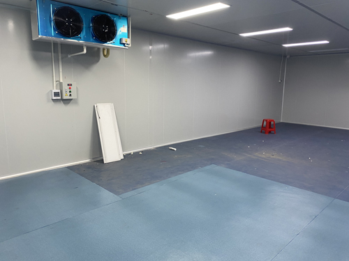 电子国产香蕉在线视频车间厂房施工